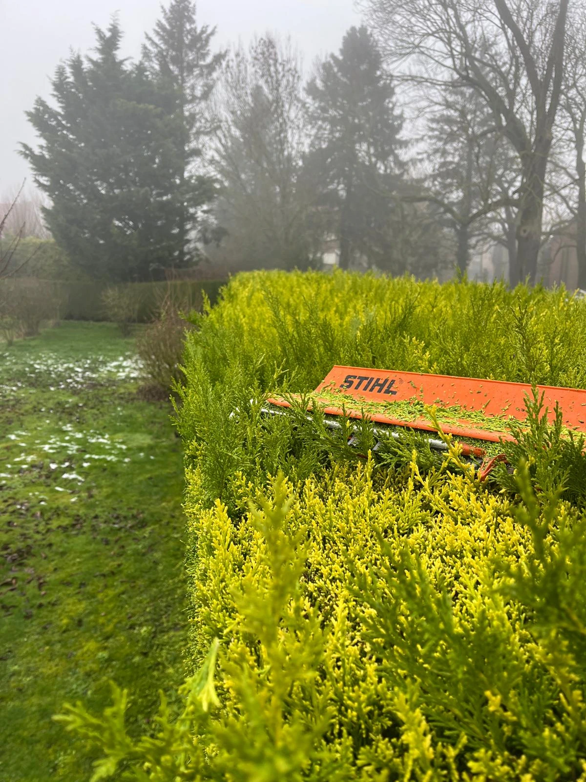 -50% de réduction crédit d'iimpôt - 2M Aménagement Paysagiste à Arras, Lens, Douai, Lille