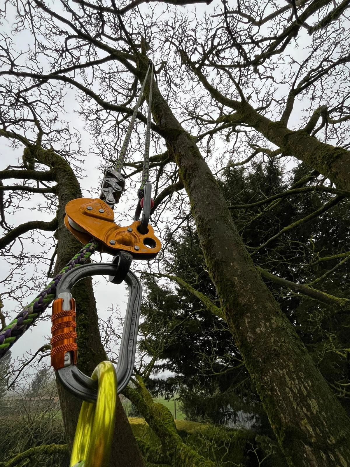 Abattage et élagage des arbres à Arras, Lens, Douai, Lille – 2M Aménagement Paysagiste Abattage et élagage des arbres à Arras, Lens, Douai, Lille - 2M Aménagement Paysagiste
