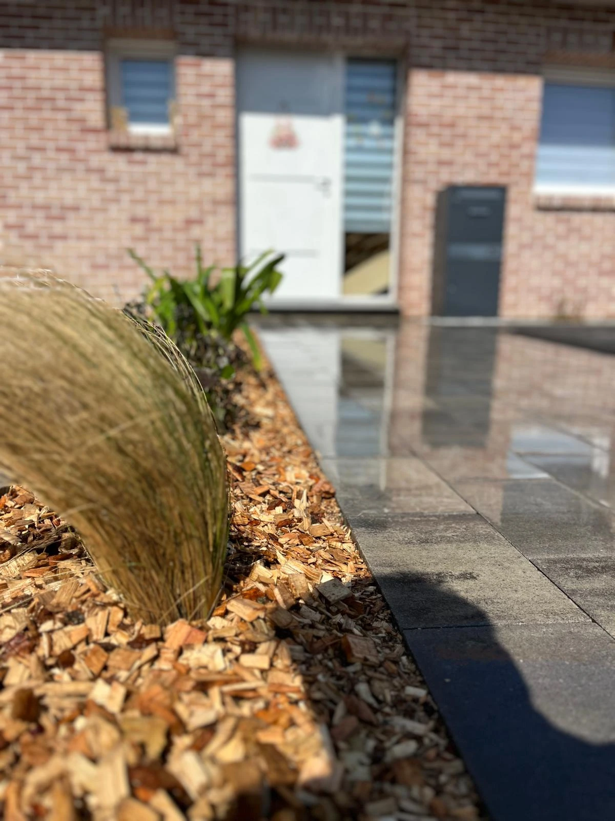 Après création et aménagement extérieur - 2M Aménagement Paysagiste à Arras, Lens, Douai, Lille
