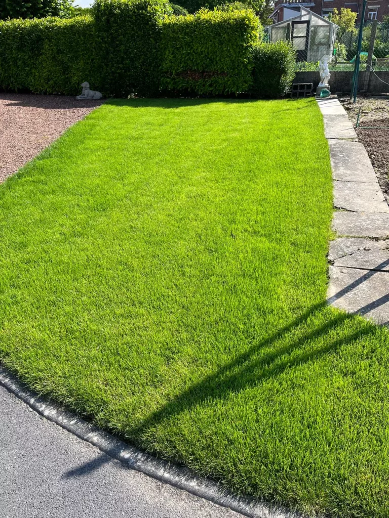 Engazonnement et pose de gazon naturel à Arras, Lens, Douai, Lille – 2M Aménagement Paysagiste Engazonnement et pose de gazon naturel à Arras, Lens, Douai, Lille - 2M Aménagement Paysagiste