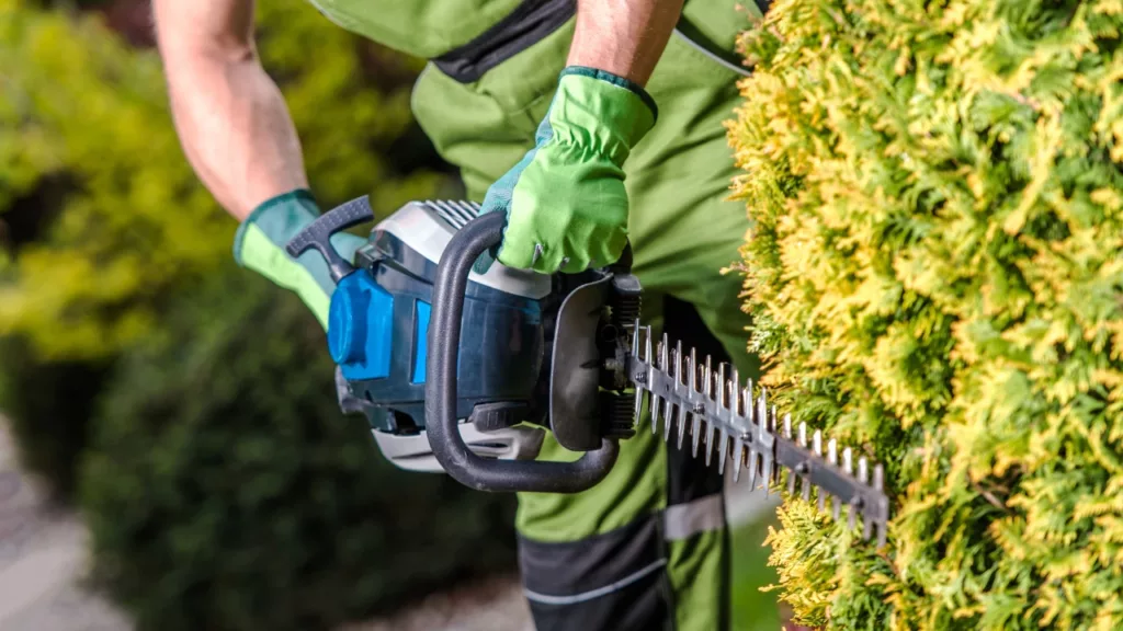 Entretien des espaces verts déductible à -50% à Arras, Lens, Douai, Lille - 2M Aménagement Paysagiste