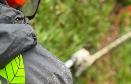 Entretien de jardin et espaces verts à Arras, Lens, Lille - Paysagiste 2M Aménagement